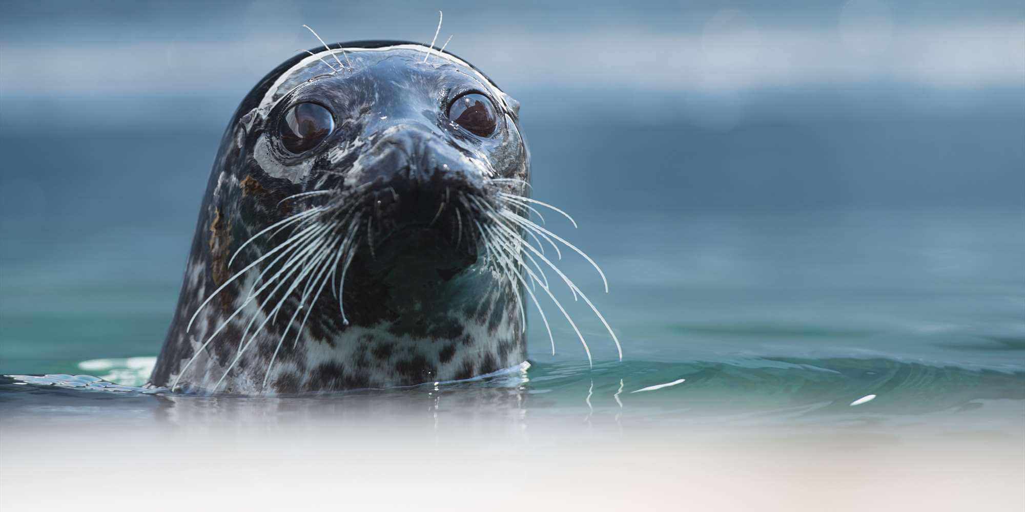 Фото: Аквариум (Bergen Aquarium), Берген