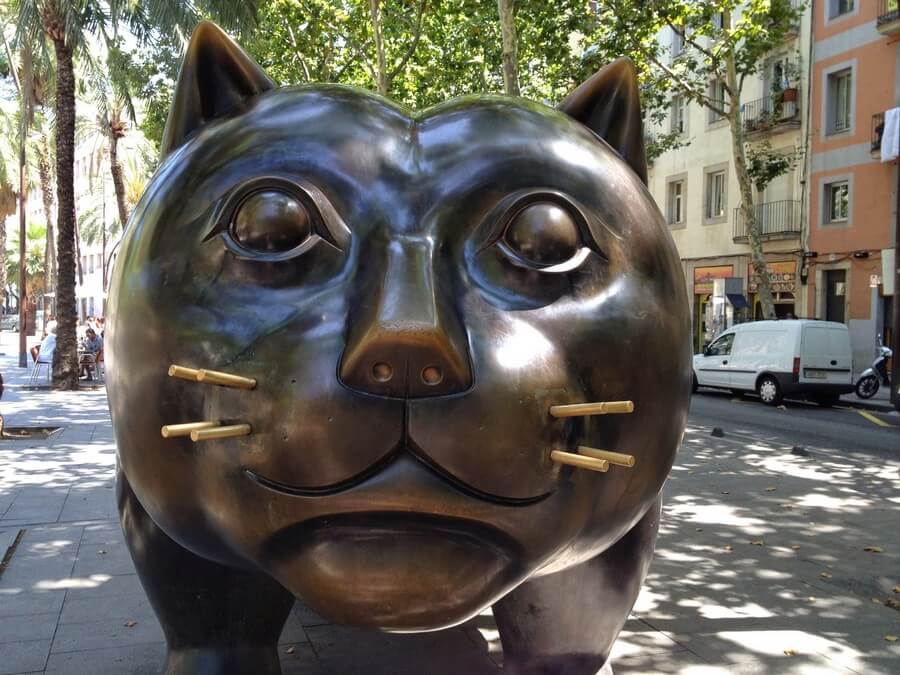 Фото: Кот в Равале, Барселона