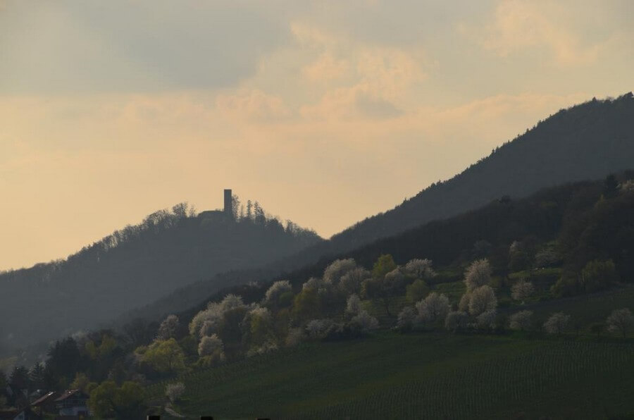 Фото: Лайнсвайлер, вид на замок