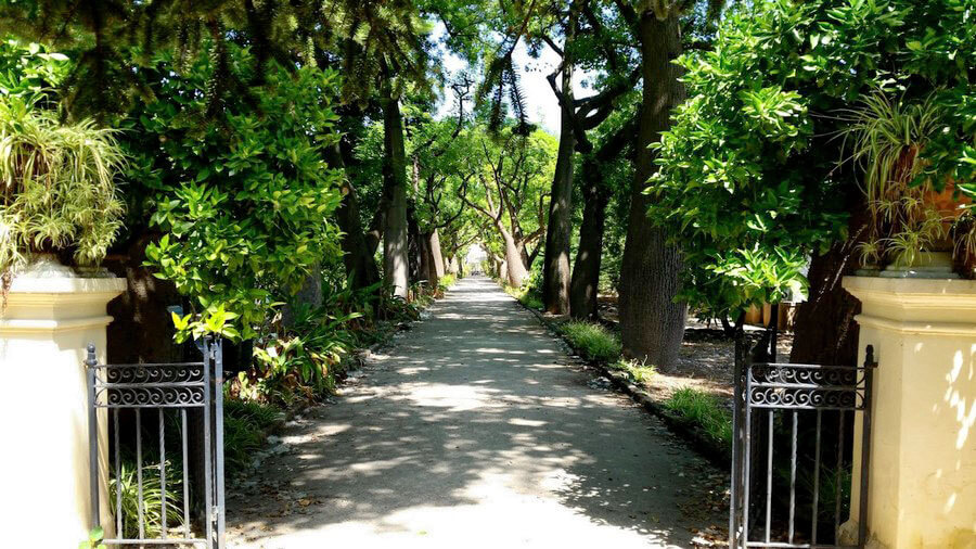 Ботанический сад в Палермо