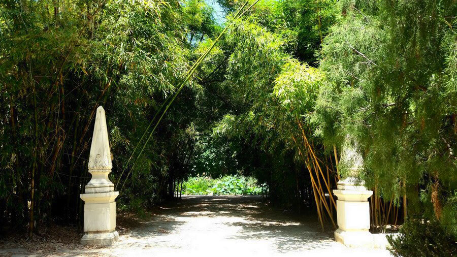 Ботанический сад в Палермо