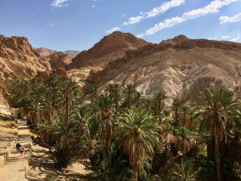 Оазис Шебика (Oasis De Chebika) в Тунисе - ToStay.ru