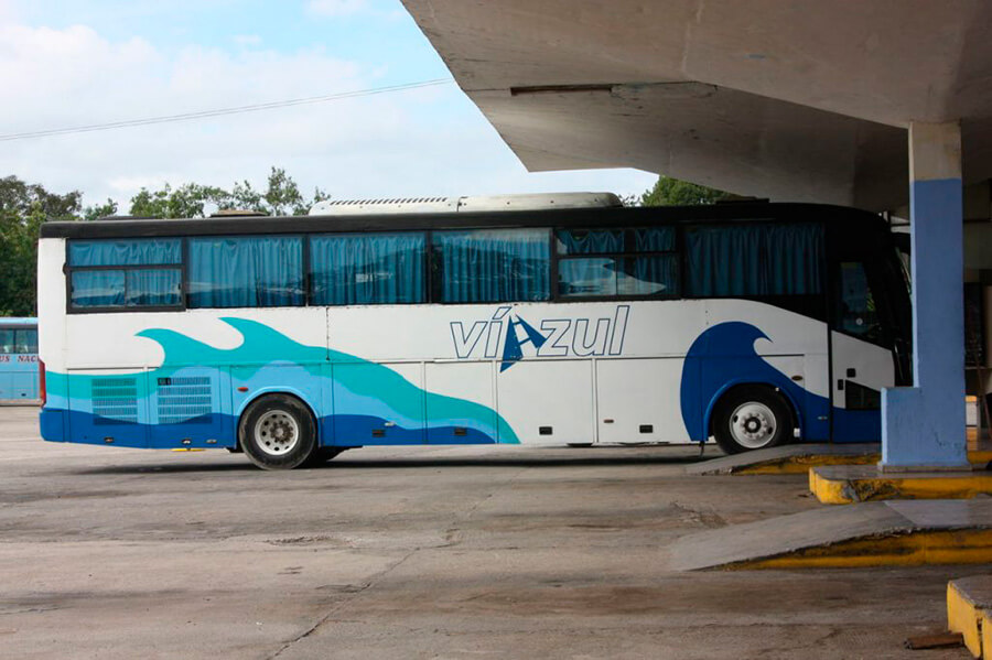 Фото: Так выглядят туристические автобусы Viazul