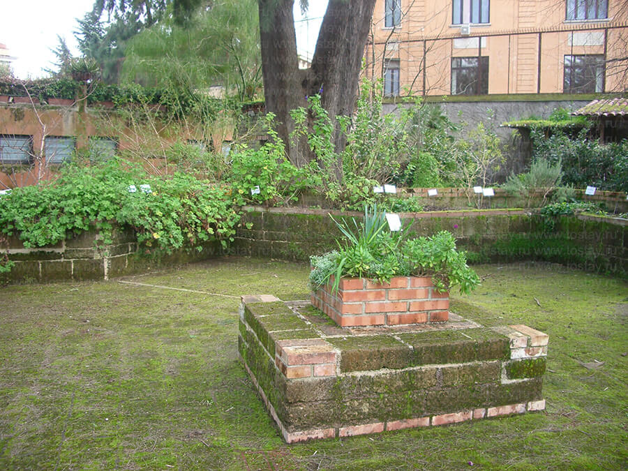 Фото: Клумбы в ботаническом саду Рима