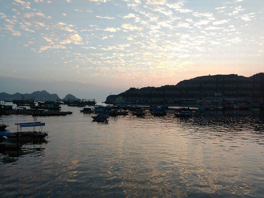 Фото: Вид с набережной на бухту на закате, Кат Ба