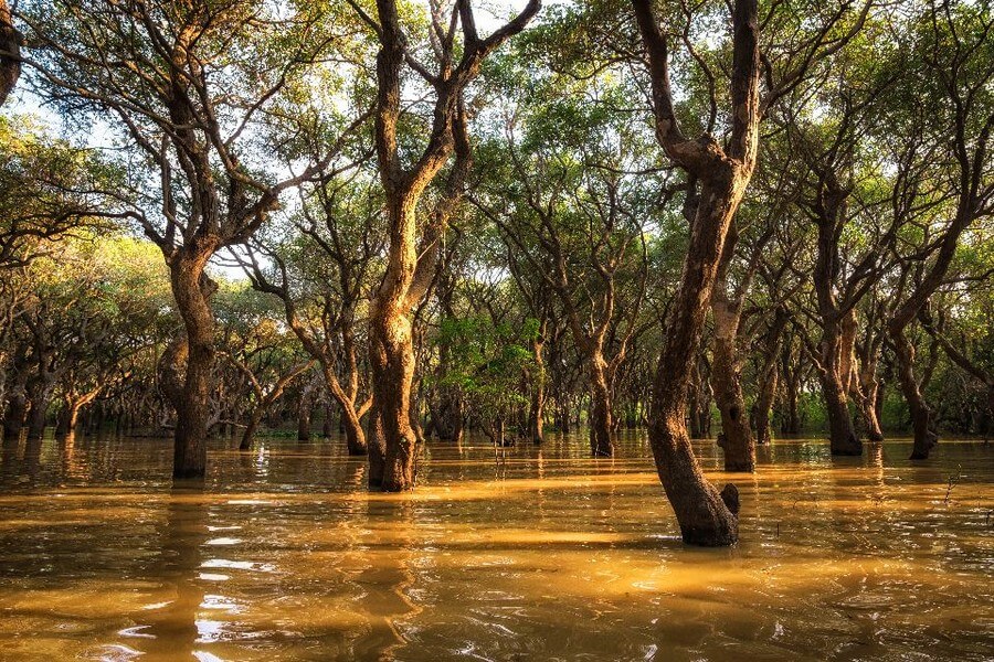 Озеро Тонлесап (Tonlesap)