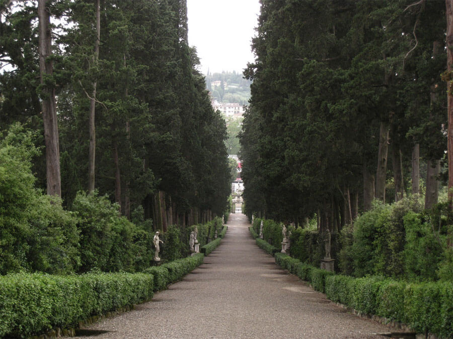 Фото: Кипарисовая аллея в садах Боболи (Giardino di Boboli), Флоренция