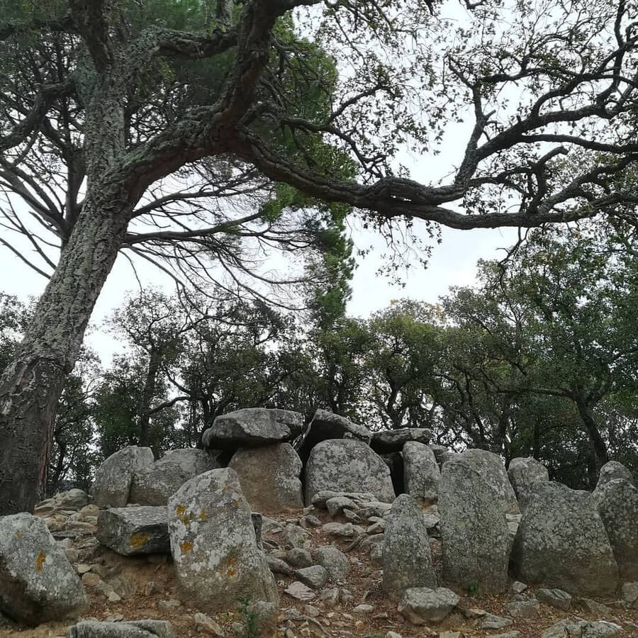 Фото: Дольмен Cova d`en Dania в Санта-Кристина-де-Аро