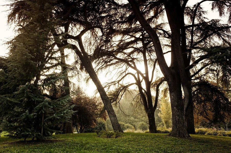 Фото: Городской парк (Giardini Pubblici), Милан
