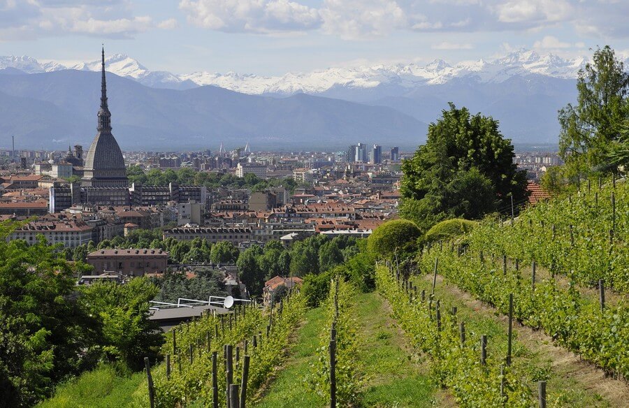 Фото: Вид с виноградников на Моле-Антонеллиана (Mole Antonelliana), Турин