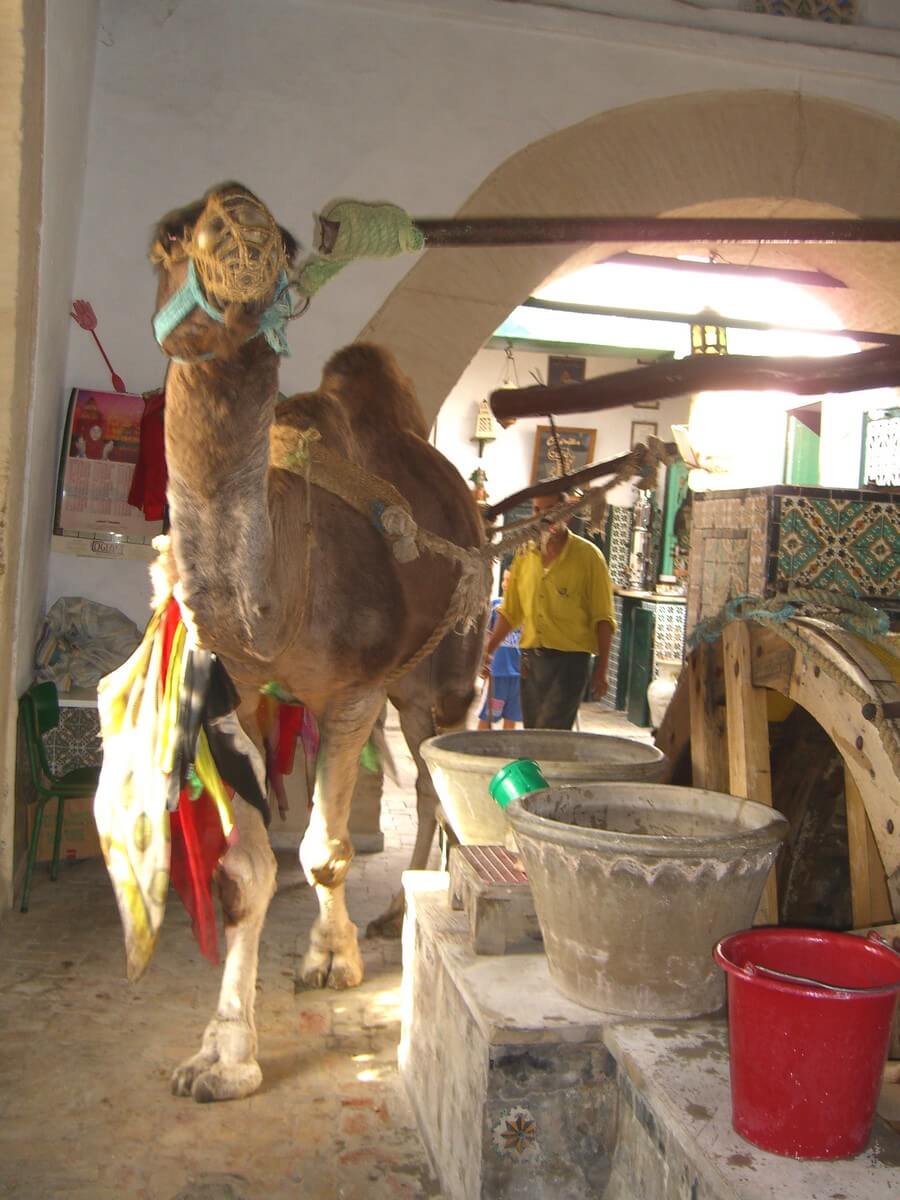 Фото: Колодец Барута (Bir Barouta), Кайруан, Тунис