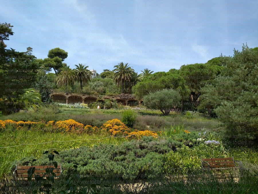 Фото: Австрийские сады, Парк Гуэль, Барселона