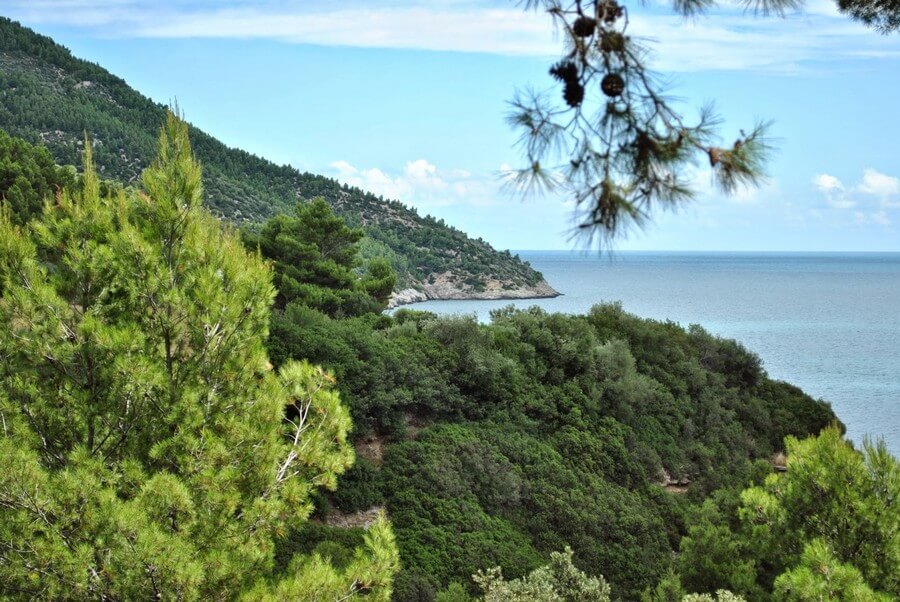 Фото: Заповедник гаргано (Gargano National Park), Италия