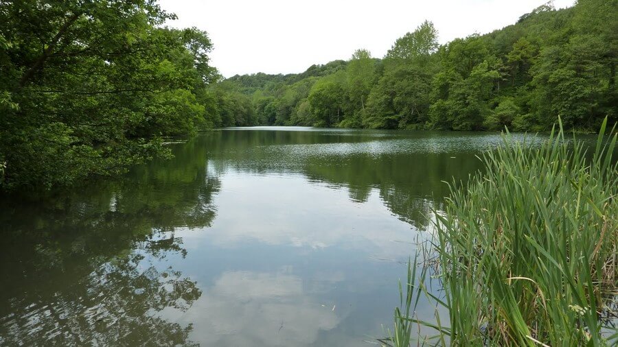 Фото: Озеро в парке Вудчестер (Woodchester Park), Страуд