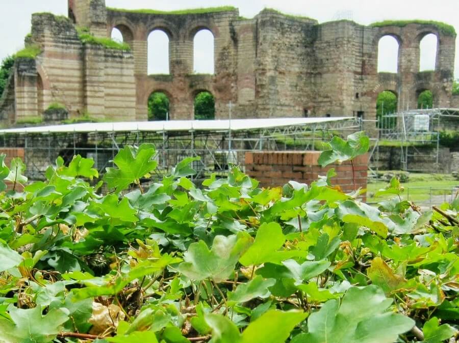 Фото: Императорские термы (Kaiserthermen), Трир