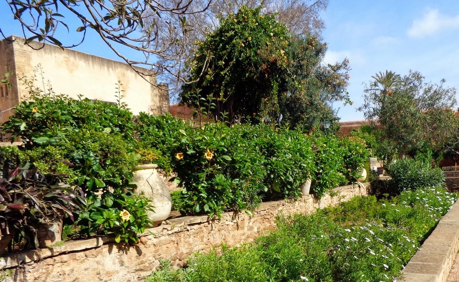 Фото: Андалузские сады (The Andalusian Gardens), Рабат