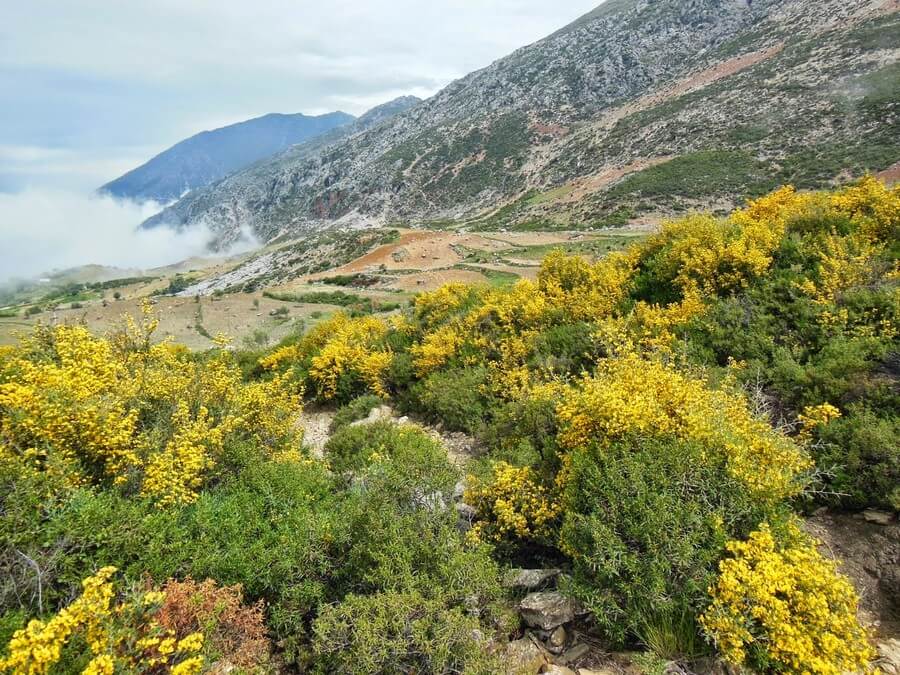 Фото: Национальный парк Талассемтане (Talassemtane National Park), Марокко