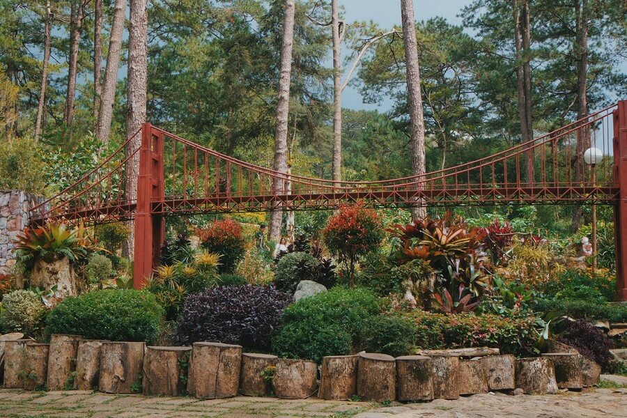 Фото: Ботанический сад (Baguio Botanical Garden), Багио