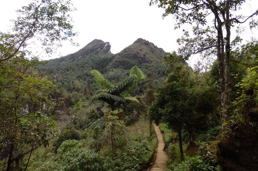 Фото: Гора Хам Ронг (Ham Rong Mountain), Сапа