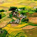 Фото: Рисовые террасы (Terraced Rice Fields in Shin Chai Village), Сапа