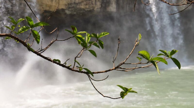 Фото: Водопад Драй Нур (Thác Đray Nur), Дак Лак