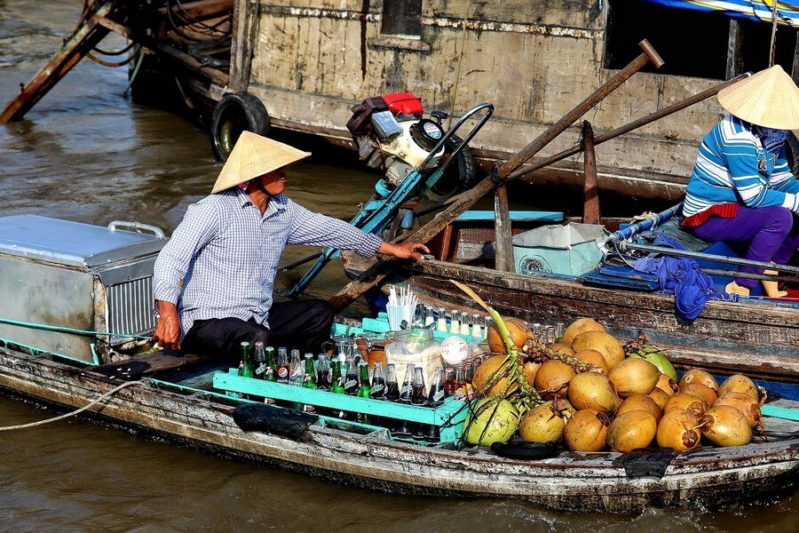 Фото: Вьетнамские кокосы