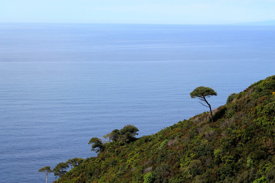 Фото: Красивый вид с трейлов по Региональному парку (Parco naturale regionale di Portofino), Портофино
