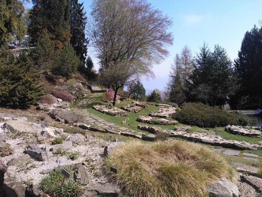 Фото: Ботанический сад Альпиния (Giardino Botanico Alpinia), Стреза