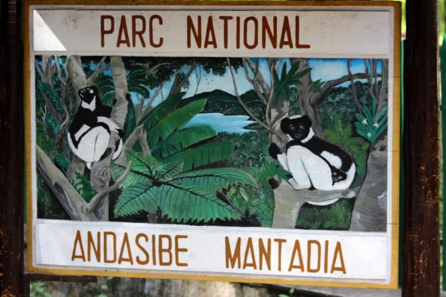 фото: Национальный парк Андасибе Мадагаскар